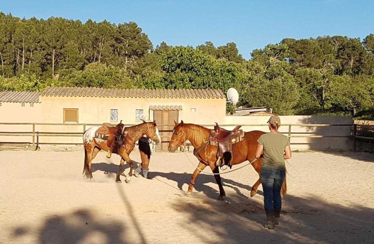 蒙图伊里 Finca Caballo Blanco酒店 外观 照片