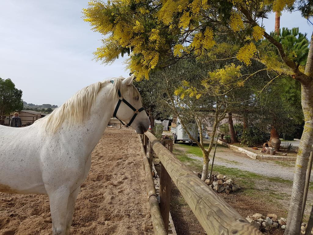 蒙图伊里 Finca Caballo Blanco酒店 外观 照片