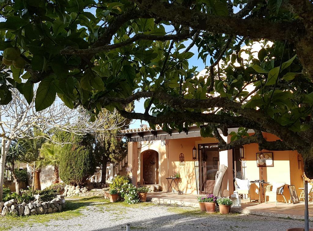蒙图伊里 Finca Caballo Blanco酒店 外观 照片