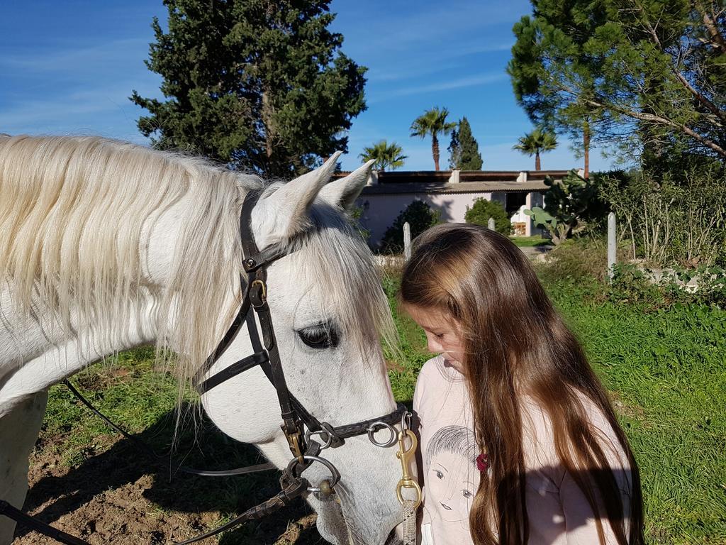 蒙图伊里 Finca Caballo Blanco酒店 外观 照片