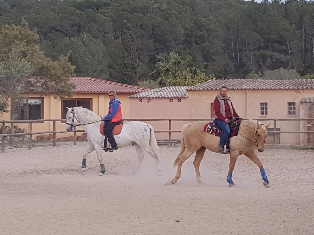 蒙图伊里 Finca Caballo Blanco酒店 外观 照片