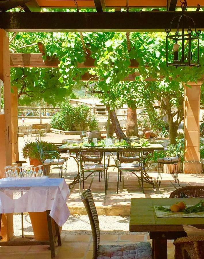 蒙图伊里 Finca Caballo Blanco酒店 外观 照片