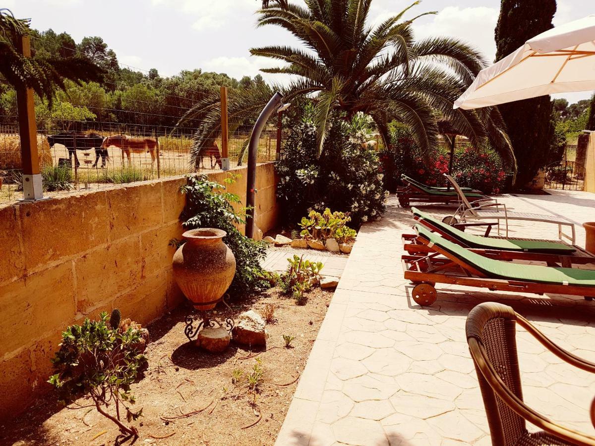 蒙图伊里 Finca Caballo Blanco酒店 外观 照片